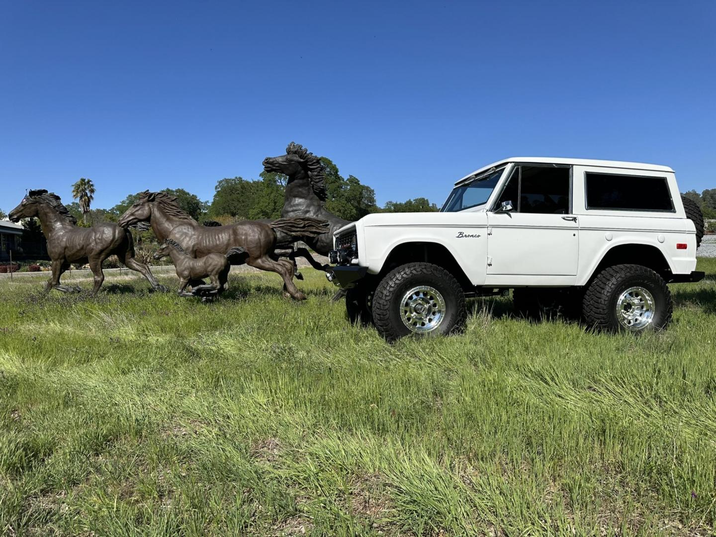 1971 White /Black / Grey Ford Bronco (U15GLK86693) with an 302 engine, np 435 4 speed transmission, located at 2630 Grass Valley Highway, Auburn, CA, 95603, (530) 508-5100, 38.937893, -121.095482 - 1971 FORD BRONCO BUILD CALIFORNIA BRONCO HARD TOP AND NO RUST REBUILT 302 WITH PERFORMANCE CAM, EDELBROCK MANIFOLD, HOLLEY AVENGER 650 CARB & MSD IGNITION NP 435 4 SPEED WITH WILD HORSE BILLET SHIFT EXTENDER DANA 20 WITH WILD HORSE TWIN STICK TRANSFER CASE NEW PAINLESS WIRING HARNESS RHINO LIN - Photo#150