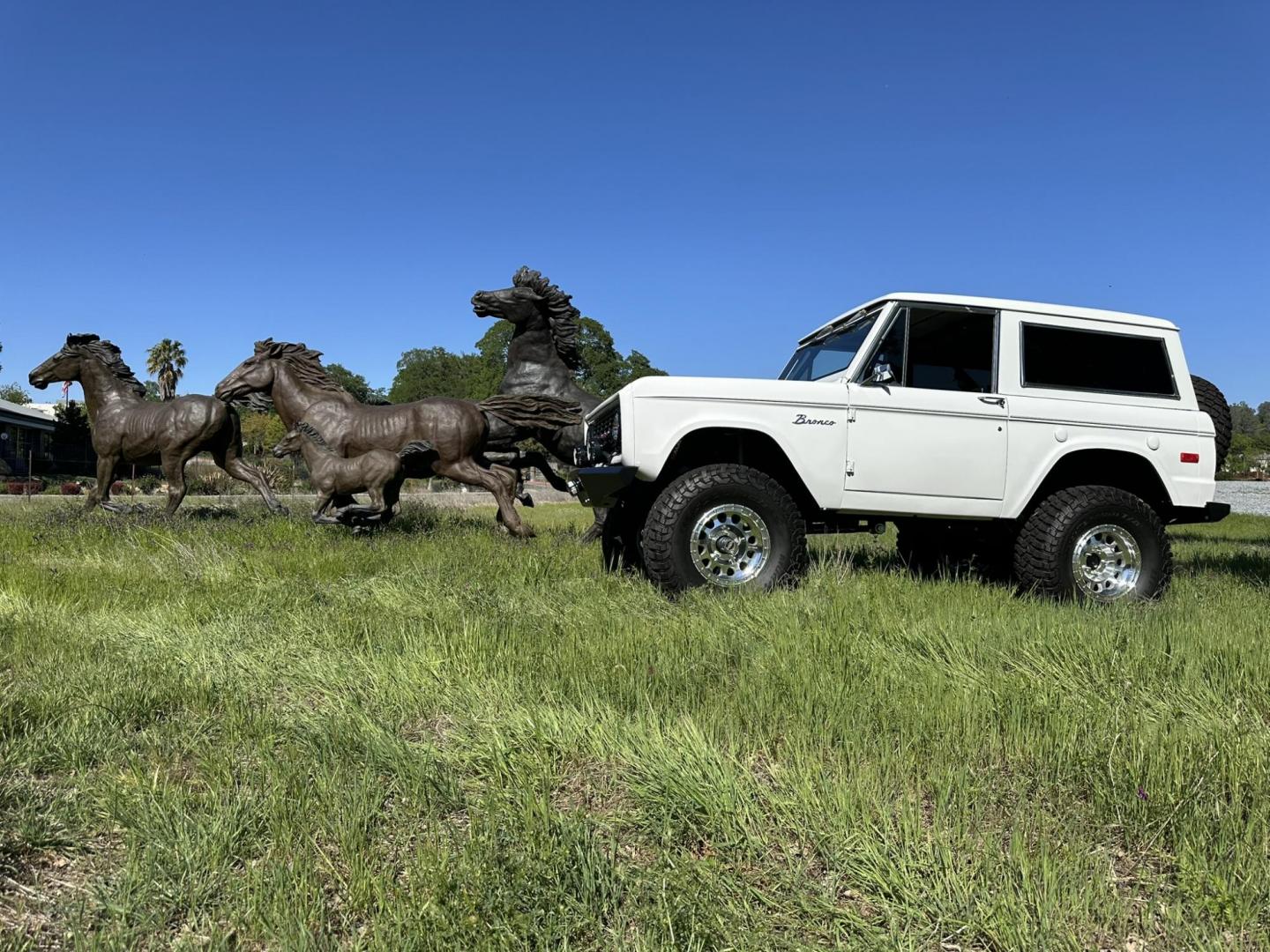 1971 White /Black / Grey Ford Bronco (U15GLK86693) with an 302 engine, np 435 4 speed transmission, located at 2630 Grass Valley Highway, Auburn, CA, 95603, (530) 508-5100, 38.937893, -121.095482 - 1971 FORD BRONCO BUILD CALIFORNIA BRONCO HARD TOP AND NO RUST REBUILT 302 WITH PERFORMANCE CAM, EDELBROCK MANIFOLD, HOLLEY AVENGER 650 CARB & MSD IGNITION NP 435 4 SPEED WITH WILD HORSE BILLET SHIFT EXTENDER DANA 20 WITH WILD HORSE TWIN STICK TRANSFER CASE NEW PAINLESS WIRING HARNESS RHINO LIN - Photo#151