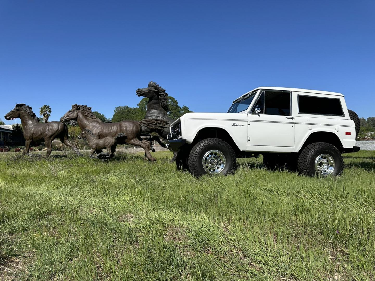 1971 White /Black / Grey Ford Bronco (U15GLK86693) with an 302 engine, np 435 4 speed transmission, located at 2630 Grass Valley Highway, Auburn, CA, 95603, (530) 508-5100, 38.937893, -121.095482 - 1971 FORD BRONCO BUILD CALIFORNIA BRONCO HARD TOP AND NO RUST REBUILT 302 WITH PERFORMANCE CAM, EDELBROCK MANIFOLD, HOLLEY AVENGER 650 CARB & MSD IGNITION NP 435 4 SPEED WITH WILD HORSE BILLET SHIFT EXTENDER DANA 20 WITH WILD HORSE TWIN STICK TRANSFER CASE NEW PAINLESS WIRING HARNESS RHINO LIN - Photo#152
