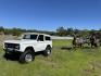 1971 White /Black / Grey Ford Bronco (U15GLK86693) with an 302 engine, np 435 4 speed transmission, located at 2630 Grass Valley Highway, Auburn, CA, 95603, (530) 508-5100, 38.937893, -121.095482 - 1971 FORD BRONCO BUILD CALIFORNIA BRONCO HARD TOP AND NO RUST REBUILT 302 WITH PERFORMANCE CAM, EDELBROCK MANIFOLD, HOLLEY AVENGER 650 CARB & MSD IGNITION NP 435 4 SPEED WITH WILD HORSE BILLET SHIFT EXTENDER DANA 20 WITH WILD HORSE TWIN STICK TRANSFER CASE NEW PAINLESS WIRING HARNESS RHINO LIN - Photo#156