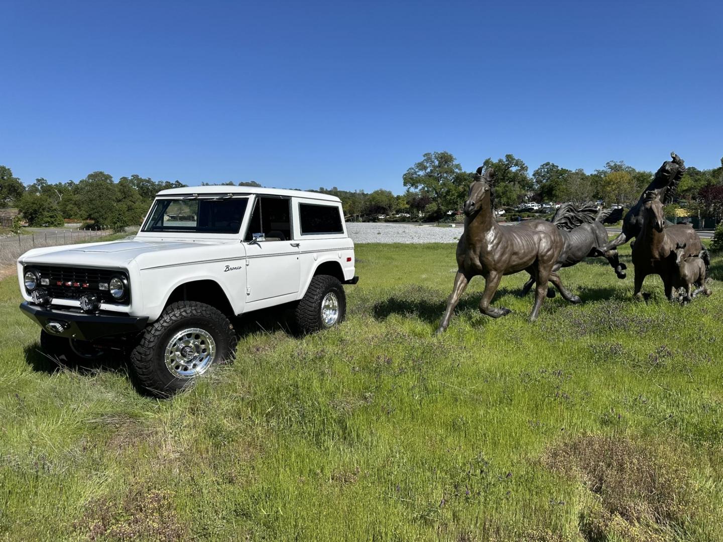 1971 White /Black / Grey Ford Bronco (U15GLK86693) with an 302 engine, np 435 4 speed transmission, located at 2630 Grass Valley Highway, Auburn, CA, 95603, (530) 508-5100, 38.937893, -121.095482 - 1971 FORD BRONCO BUILD CALIFORNIA BRONCO HARD TOP AND NO RUST REBUILT 302 WITH PERFORMANCE CAM, EDELBROCK MANIFOLD, HOLLEY AVENGER 650 CARB & MSD IGNITION NP 435 4 SPEED WITH WILD HORSE BILLET SHIFT EXTENDER DANA 20 WITH WILD HORSE TWIN STICK TRANSFER CASE NEW PAINLESS WIRING HARNESS RHINO LIN - Photo#158