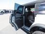 2023 Gray Ford Bronco Badlands 4-Door w/Advanced (1FMEE5DP3PL) with an 2.7L V6 DOHC 24V engine, located at 2630 Grass Valley Highway, Auburn, CA, 95603, (530) 508-5100, 38.937893, -121.095482 - Photo#47