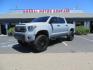 2018 Gray /Black Toyota Tundra SR5 5.7L V8 CrewMax 4WD (5TFDY5F15JX) with an 5.7L V8 DOHC 32V engine, 6A transmission, located at 2630 Grass Valley Highway, Auburn, CA, 95603, (530) 508-5100, 38.937893, -121.095482 - Lifted Tundra sitting on a Pro Comp 6" Lift kit, 37" Nitto Ridge Grappler tires, 20" Fuel Recoil wheels, N-Fab running boards, Grille Mounted Light Bar, Bilstein 5100 rear shocks, TRD dual exhaust, Fender Flarew, and window tint. - Photo#0